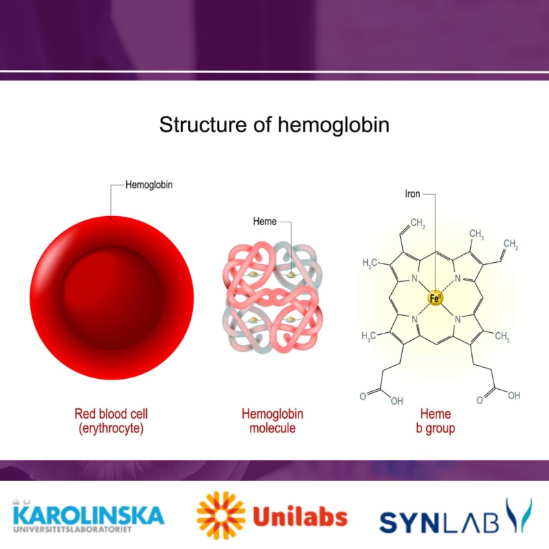 hemoglobin prov