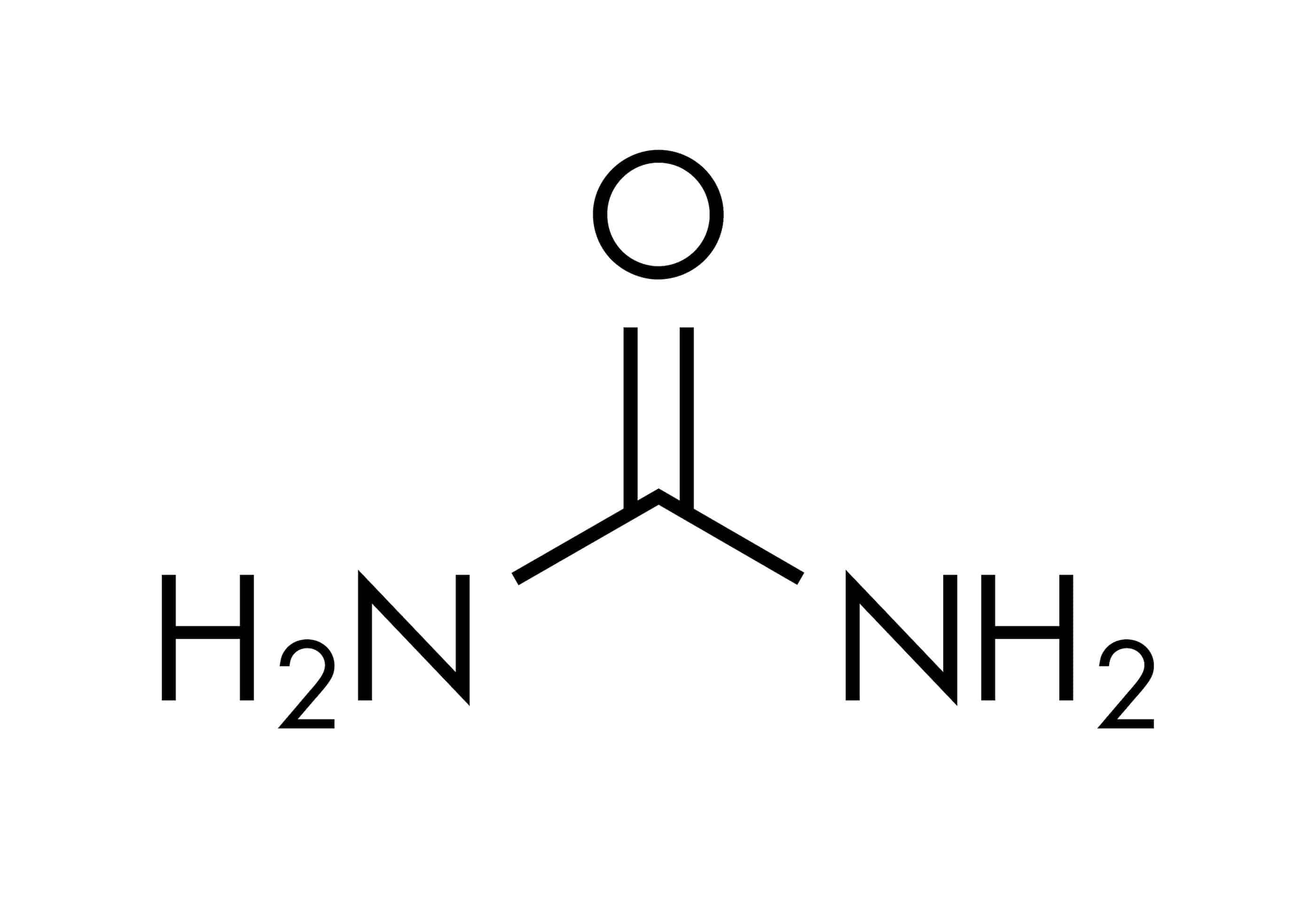 Featured image for “Urea”