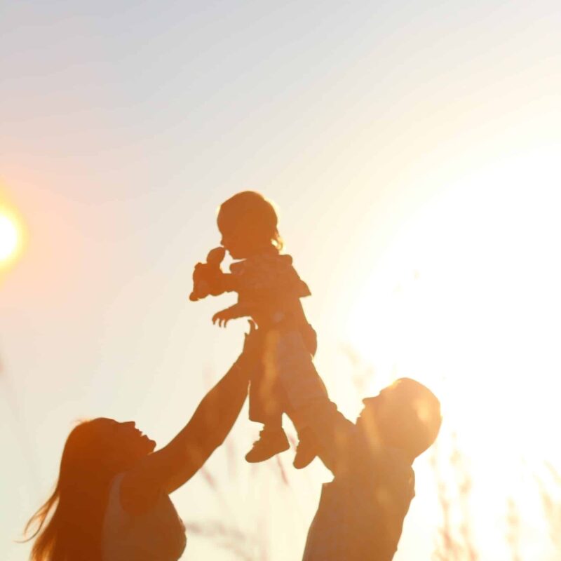 Feminea IVF Hormoncheck Basal – Efter Äggplockning